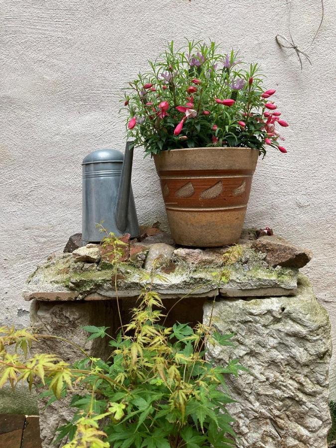Appartamento Renaissancestuben Torgau Esterno foto